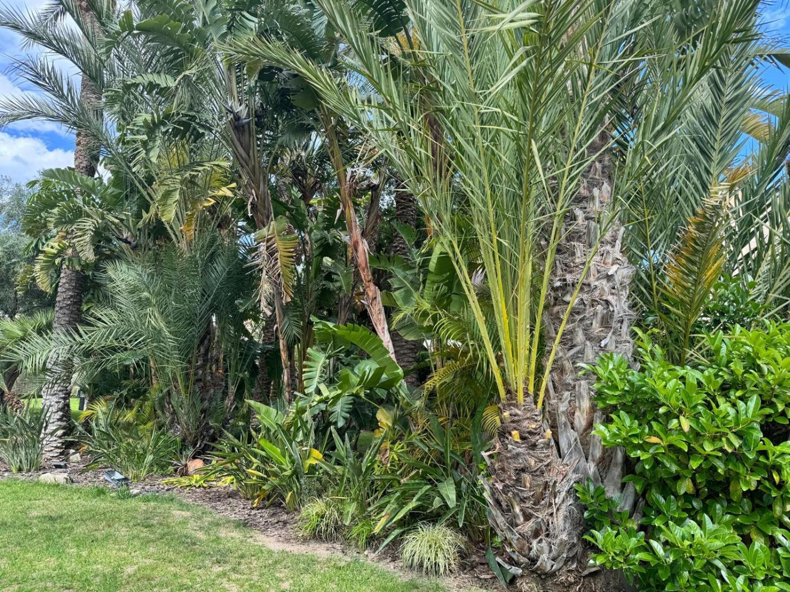 Natura Playa By Sunset Apartment La Venteta